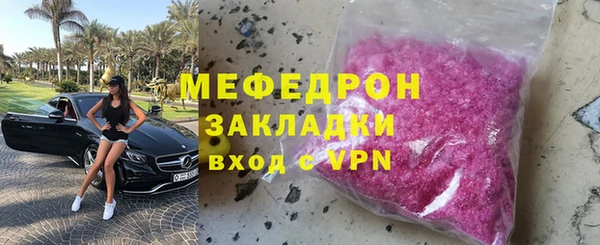 индика Богданович